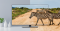LG Hotel TV 55" 4K UHD Hotel model 55UR761