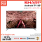 SHARP แอลอีดีทีวี 32 นิ้ว (HD, ANDROID TV) 2T-C32EG2X