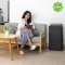 Sharp Dehumidifier with Air Purifier