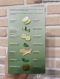 ชาเขียว TESS DETOX ชาเขียวคุณภาพดีจากผู้ผลิตแบรนด์ดังของรัสเซีย