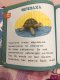 หนังสือนิทานสีฟ้า สำหรับอ่านสะกดคำ (Синяя книга сказок)