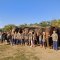 Half Day Elephant Care Kanta Elephant Sanctuary