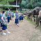 Full Day Elephant Care Kanta Elephant Sanctuary