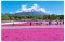 ทัวร์ญี่ปุ่น IT-1XW229 Love Japan Tokyo Fuji Pink Moss