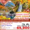 ทัวร์ญี่ปุ่น BJ-INE1115 HYOGO KYOTO OSAKA AUTUMN