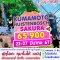 ทัวร์ญี่ปุ่น BJ-FUK0322 KUMAMOTO HUISTENBOSCH SAKURA