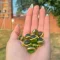 NAGA: Green Naga Crystal Ball Pendant (Dimensions: 15 mm)