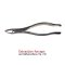 Extraction forceps Fig.150