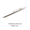 R0224-00 ORTHODONTIC SOLDERS Rods, 1 mm in diameter