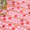 ผ้า cotton ญี่ปุ่น ลายดอกไม้กับเม่นพื้นชมพู ขนาด 1/4 เมตร (50*55 ซม.)**ชิ้นนี้เนื้อ CANVAS ค่ะ**