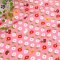 ผ้า cotton ญี่ปุ่น ลายดอกไม้กับเม่นพื้นชมพู ขนาด 1/4 เมตร (50*55 ซม.)**ชิ้นนี้เนื้อ CANVAS ค่ะ**