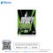 Whey Protein