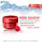 Red Snow White Boosting Cream