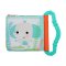 Bright Starts Teether Book