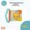 Bright Starts Teether Book