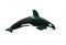 โมเดลสัตว์วาฬเพชฆาตKiller Whale รุ่น SFR210202