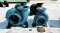 หัวปั้มน้ำหอยโข่งของใหม่ KIRLOSKAR ขนาด 8”- 6” / 10”- 10” สภาพสวยพร้อมใช้  ของใหม่เก็บสแปยังไม่ได้ใช้งาน