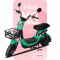 จักรยานไฟฟ้าอาโออิ X3 สีเขียว