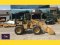 CAT WS300