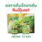 มอร์ น้ำมะระเข้มข้น ผสมถั่งเช่า 12 ขวด