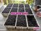 Mulberry Powder 100% ผงมัลเบอรี่ ผงหม่อน 100% ไม่มีผสม ปลอดสารเคมี  บรรจุกล่องละ10 กก./แพคถุงละ5กก.*2ถุง
