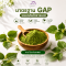 ผงชาใบหม่อน 100% ตราภูดอย Mulberry Leaf Powder Tea  ชนิดชงดื่ม ผงละเอียด ชาใบหม่อนบดละเอียด