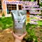 น้ำมัลเบอรี่สกัดเข้มข้น 100% ภูดอย ไม่มีผสมไม่มีน้ำตาล ขนาดบรรจุ 700 ml  คั้นสดใหม่ พร้อมส่ง!