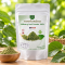 ผงชาใบหม่อน 100% ตราภูดอย Mulberry Leaf Powder Tea  ชนิดชงดื่ม ผงละเอียด ชาใบหม่อนบดละเอียด