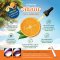 Natural Orange Spray
