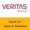 Veritas Agent for Applications and Database