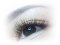 Eyelash Service: Extension / Lifting