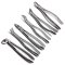 Surgical Forceps เครื่องมือผ่าตัดทางทันตกรรม