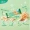 FoodFitt Granola Bar Coconut Caramel Less Sugar Formula