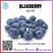 蓝莓 (BLUEBERRY) (1 KG X 10 BAG/CTN.)