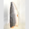 ปลาแซลมอน ฟินเล่ย์ ติดหนัง (Salmon Fillet)