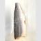 Salmon Fillet Trim Skin on (1.0-1.2 kg./pc.)