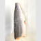 三文鱼片去皮 Salmon Fillet Trim Skin on (1.4 kg./pc.)