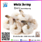 กุ้งขาวดิบ (White Shrimp) (ไซส์ 31/40 PCS/LB)