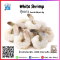 白虾 White Shrimp (31/40 PCS/LB)