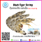 ブラックタイガーシュリンプ Black Tiger Shrimp (13-15 PCS/PACK) (NW 80%)