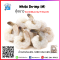 WHITE PRAWN RPDTO (41/50 LB)