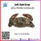 ปูนิ่ม ไซส์ L (Soft Shell Crab) 4-6 ตัว/กิโลกรัม