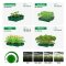 ไฟปลูกต้นไม้ Mars Hydro SP 3000 สำหรับเต้นท์ปลูก LED Full Spectrum Sun-like LED 300w Cover 2x5 (60x150cm) Samsung lm301b Osram full spectrum led plant grow light