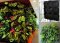 แพ็ค 3! 9-ช่อง ถุงปลูกต้นไม้ Pocket Grow Bag แบบแขวน (แนวตั้ง) สำหรับการปลูกต้นไม้ สูง 50cm กว้าง 50cm ใช้ได้ทั้งภายในและภายนอก 3 packs 9-Pockets Vertical Wall Garden Planter Grow Bag for Flower Vegetable for Indoor/Outdoor  Height 50cm Width 50cm
