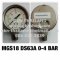 Pressure Gauge Nuova Fima
