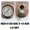 Pressure Gauge Nuova Fima