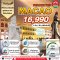 Macao Private 3 วัน 2 คืน...เน้นเที่ยว พร้อมไปมู เลือกวันได้เอง ถึง 30 พ.ย.