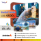 เที่ยวสิงคโปร์ 3 วัน 2 คืน บิน Jeststar เริ่มต้น 9,500 บาท