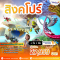เที่ยวสิงคโปร์ 4 วัน 3 คืน บิน Singapore Airlines เริ่มต้น 27,999 บาท