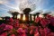 บัตรเข้าชมการ์เด้นส์ บาย เดอะ เบย์ ( Flower Dome & Cloud Forest Featuring Avatar The Experience)